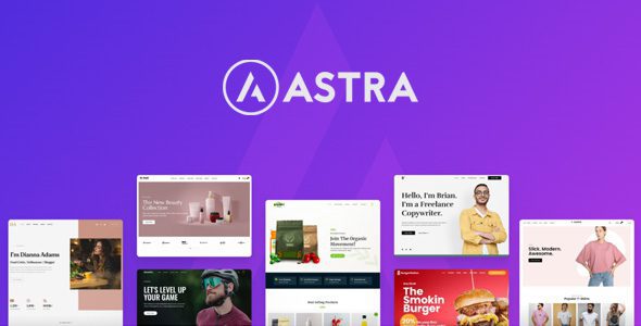 Astra 主题 4.11.11 + Portfolio 1.13.2 – 最受欢迎的 WordPress 主题