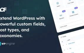Advanced Custom Fields Pro 6.7.0 插件