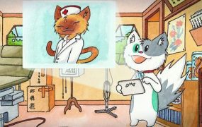 Meow Lightbox Pro 5.4.6 – WordPress 灯箱插件