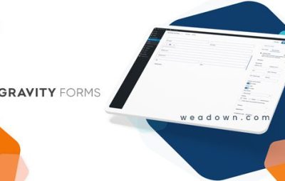 Gravity Forms 2.9.23.3 + 附加组件 – WordPress 表单插件